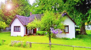 Retired and loving Qualicum Beach - August 31 /2024